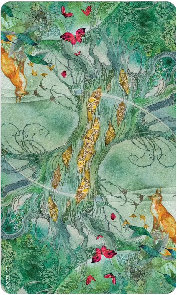 Tree Keepers Oracle Cards